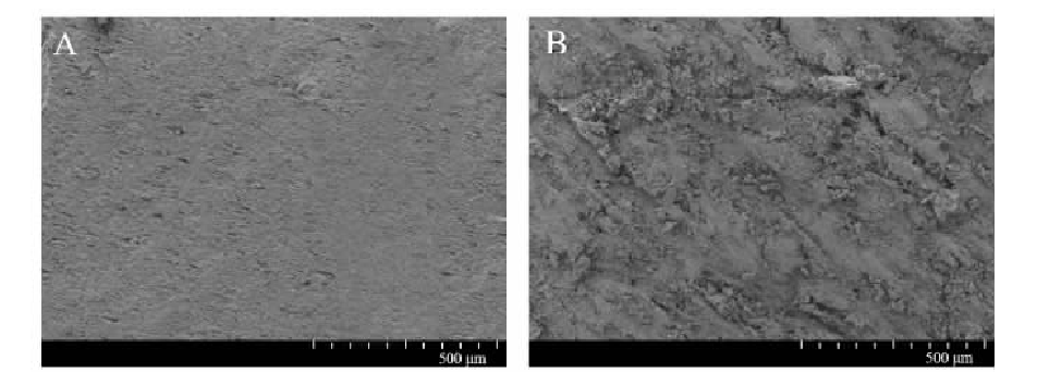低溫等離子體處理對PVC表面粘接性能的影響