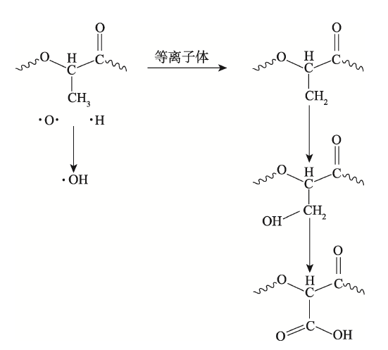 P L A膜表面等離子體處理機理
