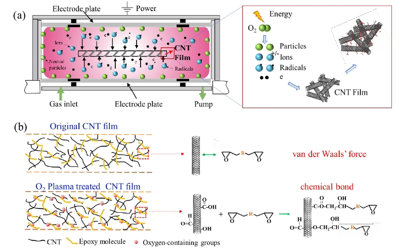 圖 1(a)氧等離子體改性CNTs薄膜機理示意圖,(b)含氧基團增強CNTs和樹脂間界面結合 機制原理圖 