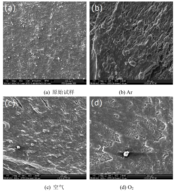 圖1  冷等離子體處理前后氟橡膠的表面形貌