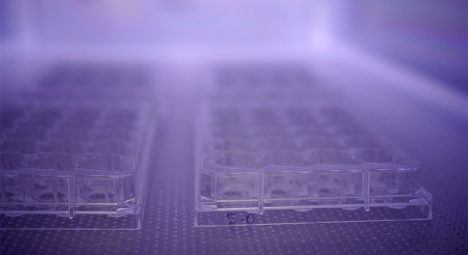 NH3氨氣等離子體處理提高PS聚苯乙烯表面親水性