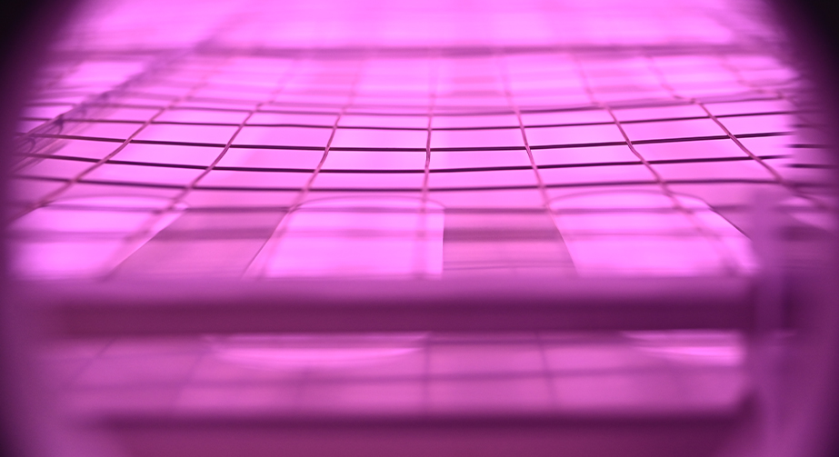 PEEK等離子清洗機(jī)改性處理提高親水粘接性